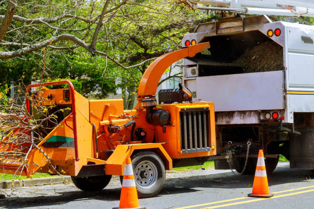 Best Commercial Tree Services  in Chincoteague, VA